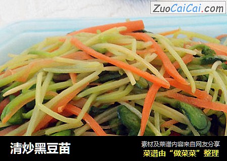 清炒黑豆苗