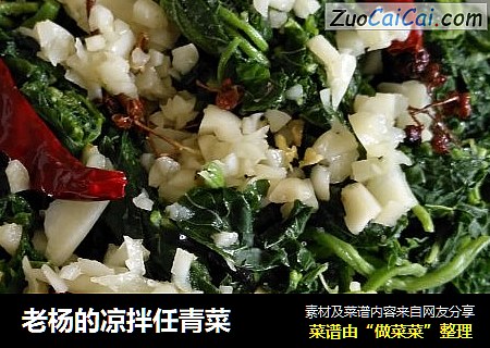 老杨的凉拌任青菜