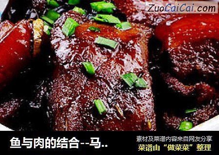 鱼与肉的结合--马哈鱼炖五花肉