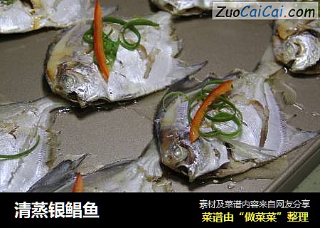 清蒸银鲳鱼