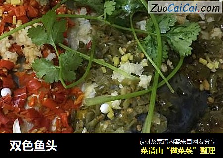 双色鱼头