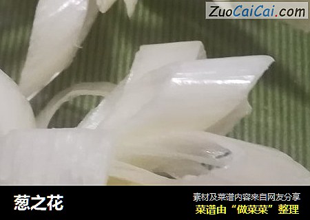 葱之花