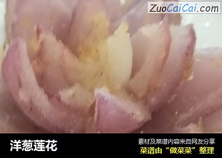 洋葱莲花