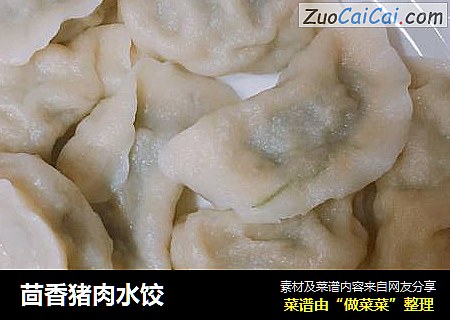 茴香猪肉水饺