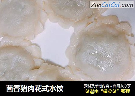 茴香猪肉花式水饺