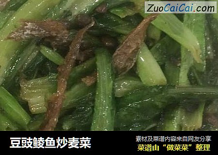 豆豉鲮鱼炒麦菜