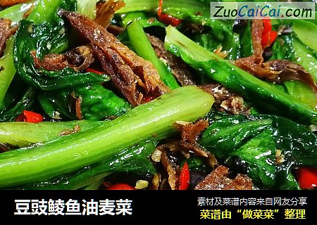 豆豉鲮鱼油麦菜