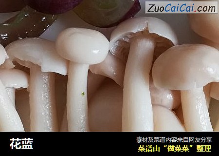 花蓝