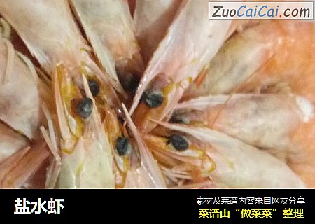 盐水虾
