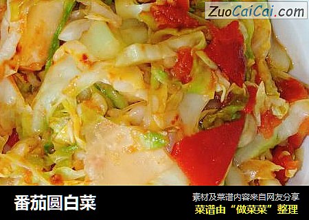 番茄圆白菜