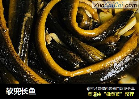 软兜长鱼