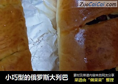 小巧型的俄罗斯大列巴