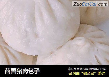 茴香猪肉包子