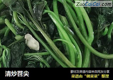 清炒苕尖