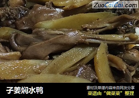 子姜焖水鸭