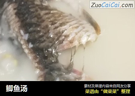 鲫鱼汤