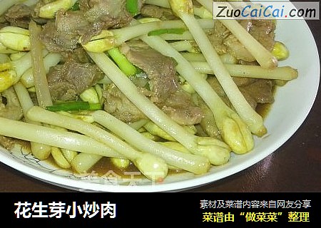 花生芽小炒肉