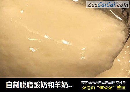 自制脱脂酸奶和羊奶酸奶