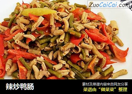 辣炒鸭肠