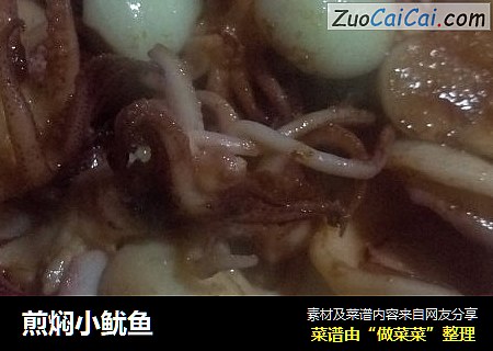 煎焖小鱿鱼