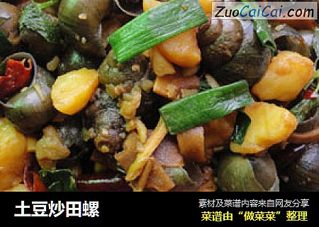 土豆炒田螺