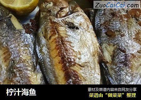 柠汁海鱼