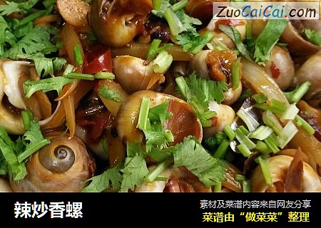 辣炒香螺
