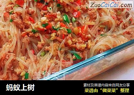 蚂蚁上树