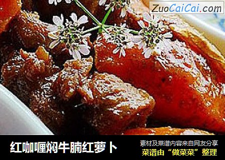 红咖喱焖牛腩红萝卜