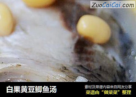 白果黄豆鲫鱼汤