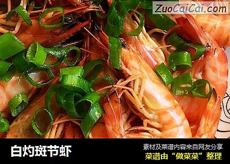 白灼斑节虾