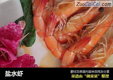 盐水虾