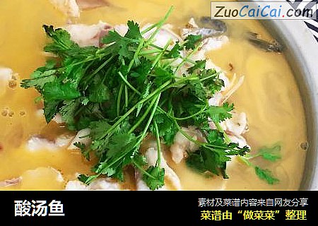 酸汤鱼