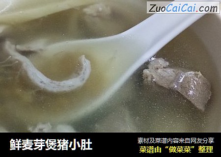 鲜麦芽煲猪小肚