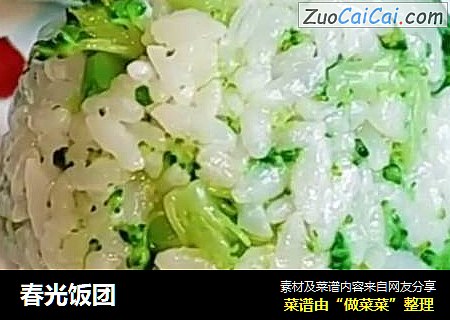 春光饭团