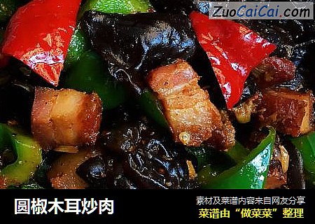 圆椒木耳炒肉
