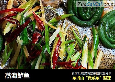 蒸海鲈鱼