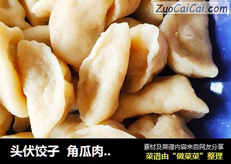 头伏饺子角瓜肉水饺