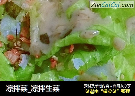凉拌菜_凉拌生菜
