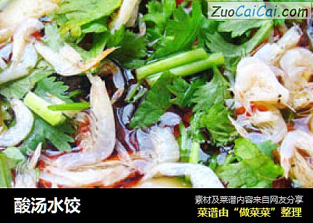 酸汤水饺