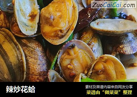 辣炒花蛤