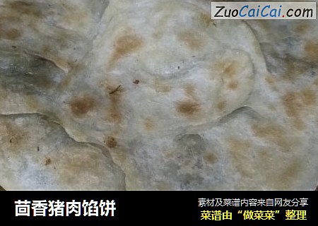 茴香猪肉馅饼