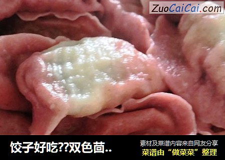 饺子好吃??双色茴香鸡肉馅