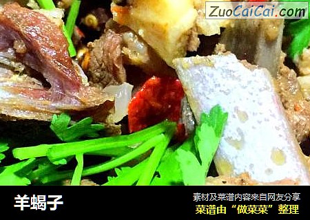 羊蝎子