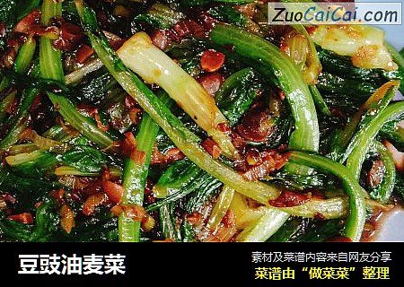 豆豉油麦菜