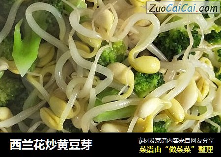 西兰花炒黄豆芽