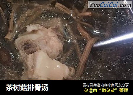 茶树菇排骨汤
