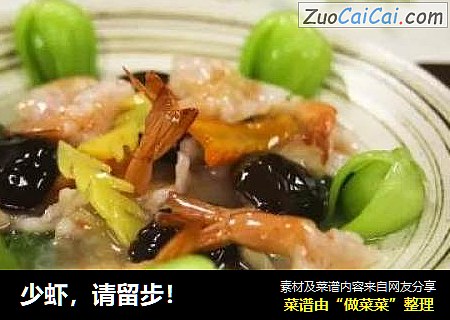 少虾，请留步！
