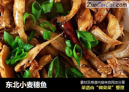 东北小麦穗鱼