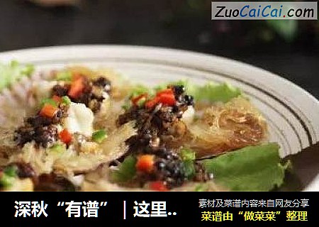 深秋“有谱”｜这里有个扇贝粉丝想和你聊聊